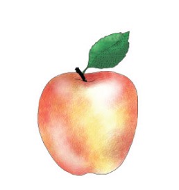 Õun