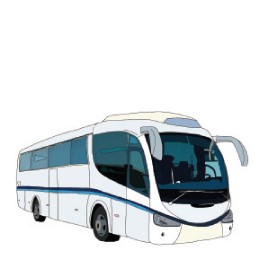buss
