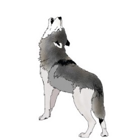 Hunt
