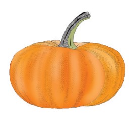 Kõrvits