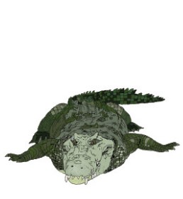 Krokodill