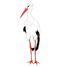 Kurg