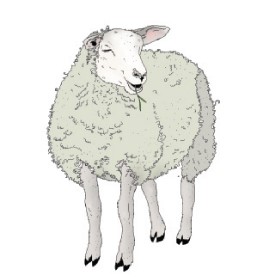 Lammas