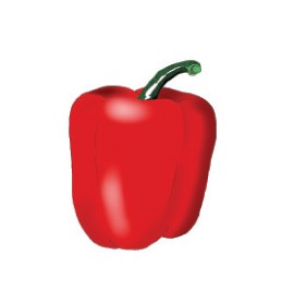 Paprika