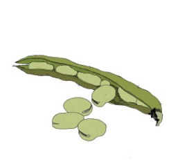 Uba