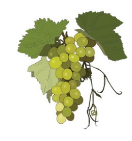Viinamari